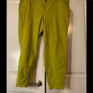 Lime Green Premium Jeans